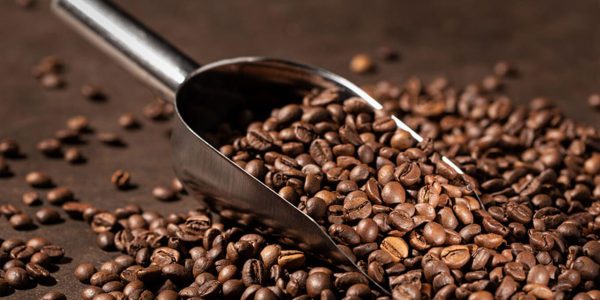 1771493275__1718137404__roasted beans coffee arabica indonesia price