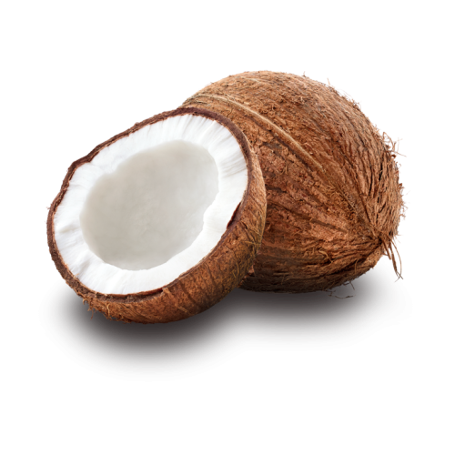 coconut